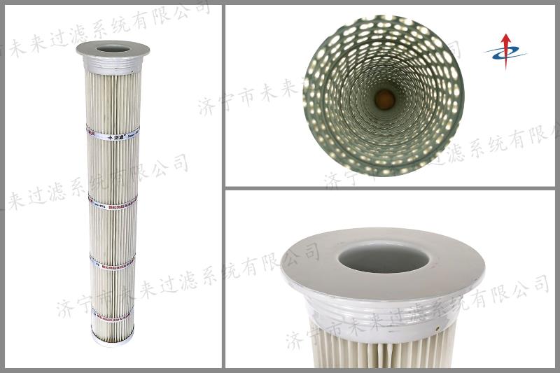 聚酯纖維PTFE覆膜濾筒（噴塑端蓋）